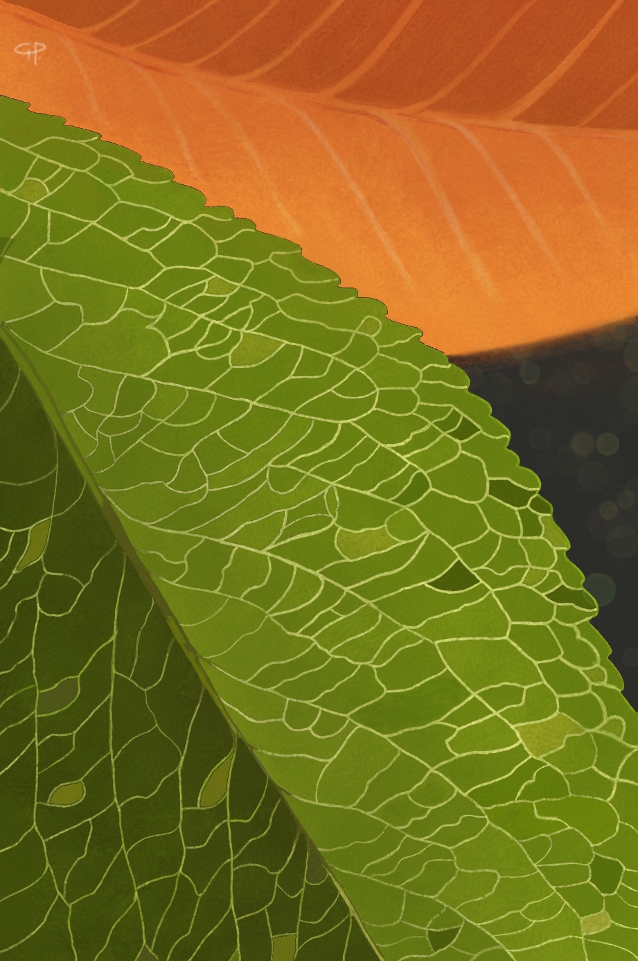 Detailed green leaf veins layered against a warm orange leaf